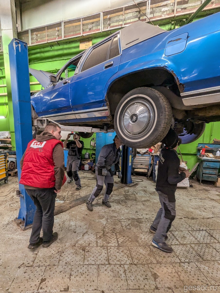 PXL_20250316_085644633.jpg.52084f7440ddf25f8b8df42e07f4dfcb.jpg