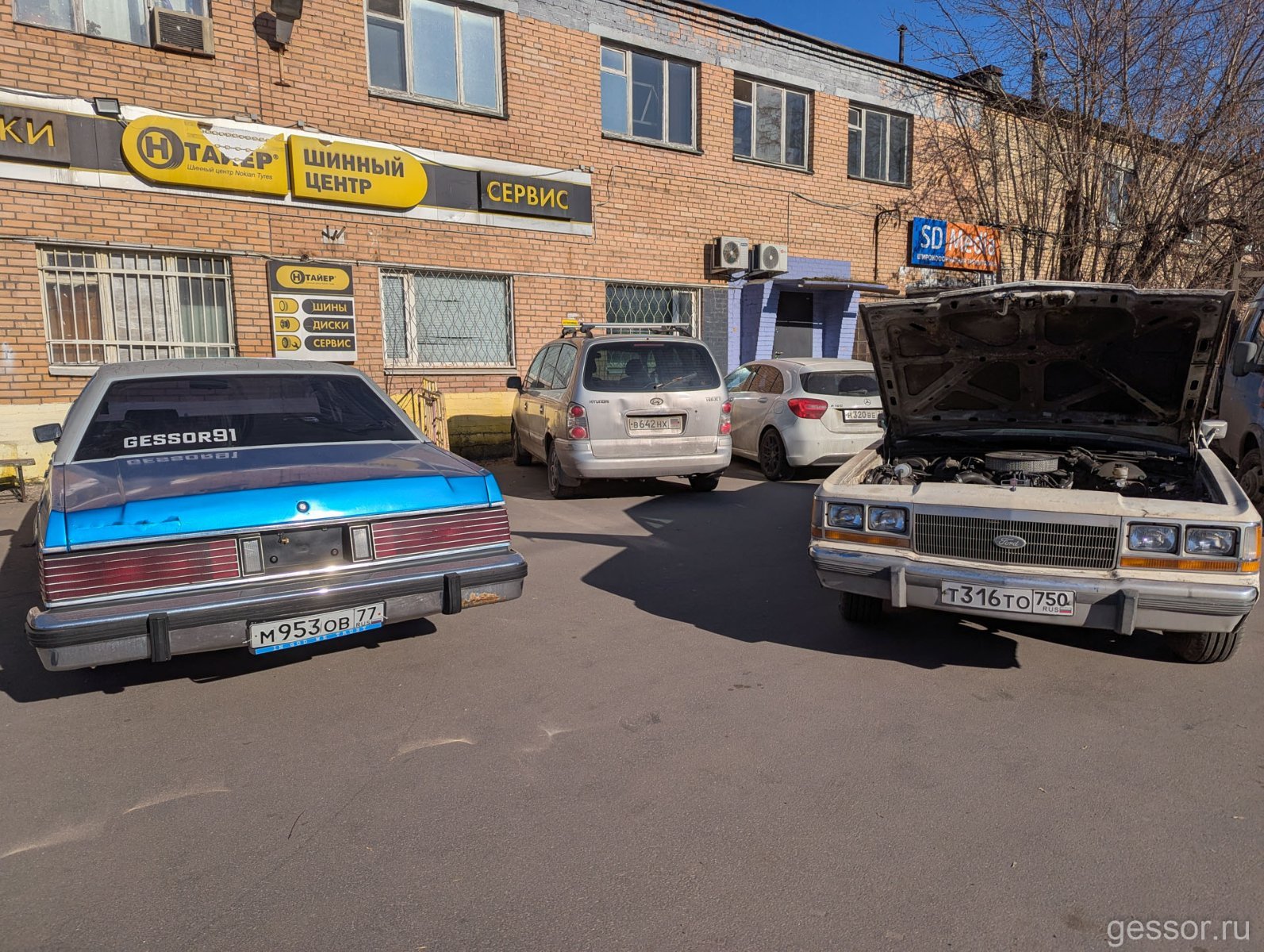 PXL_20250323_125402852.jpg.064a9bfe5b6f1f1546f23325eaad9289.jpg