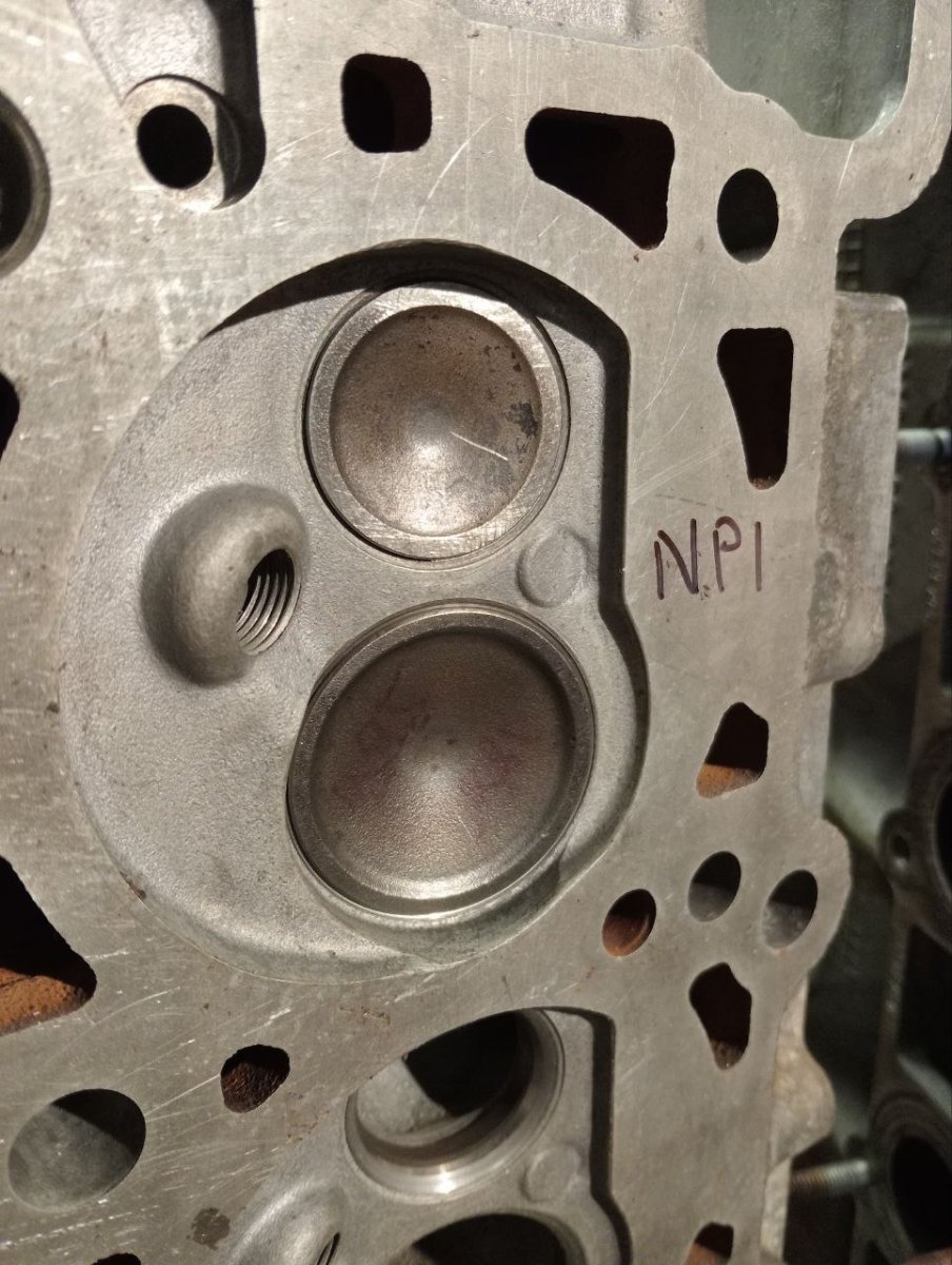 NPI.jpg.4d01f433886bd60555b673a65629283f.jpg